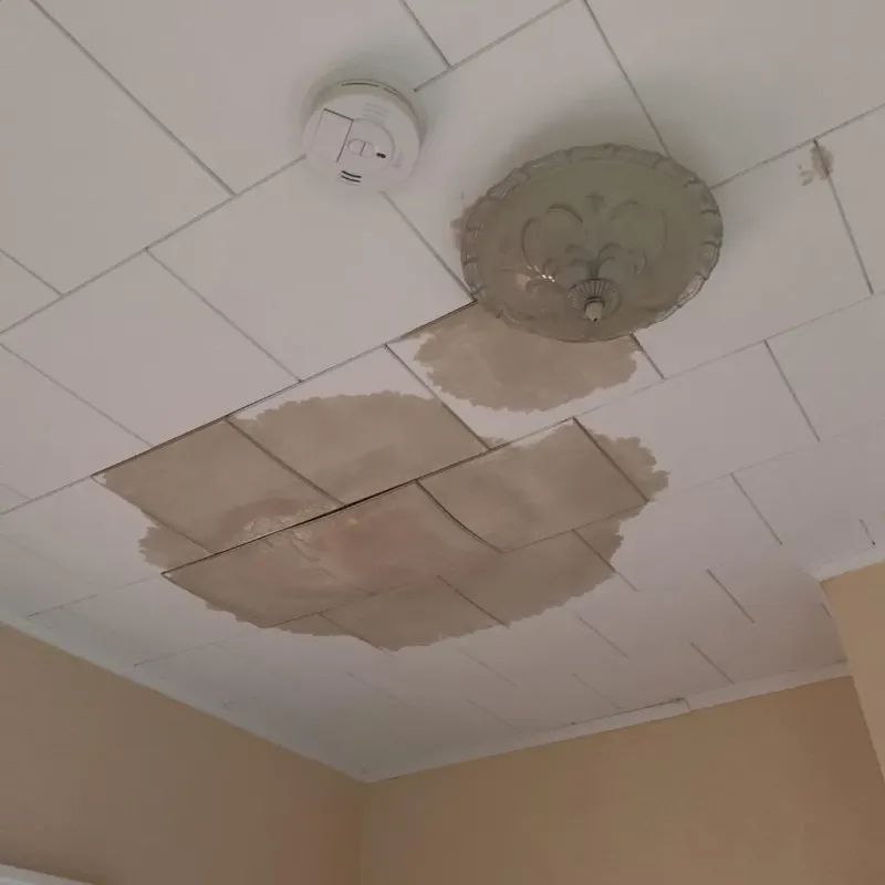 Ceiling Water Damage Repair in McKean County, PA