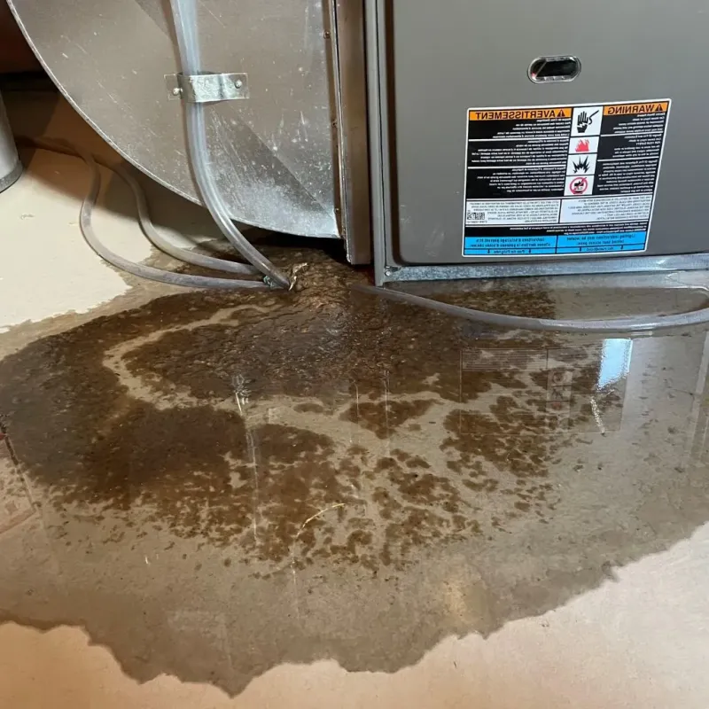 Pipe Burst and Leak Restoration in McKean County, PA